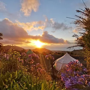  Luxe tent Free Canari - Los Alamos 8 Spanje